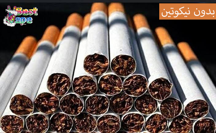 سیگار گیاهی